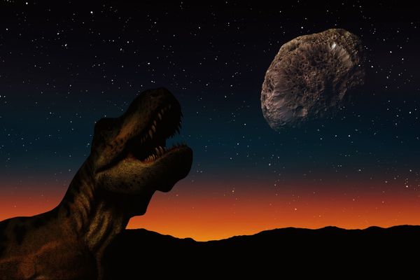 Darkness, Not Cold, Killed Most Life on Earth 66 Million Years Ago, New Study Claims Darkness, Not Cold, Killed Most Life on Earth 66 Million Years Ago, New Study Claims - Sputnik International