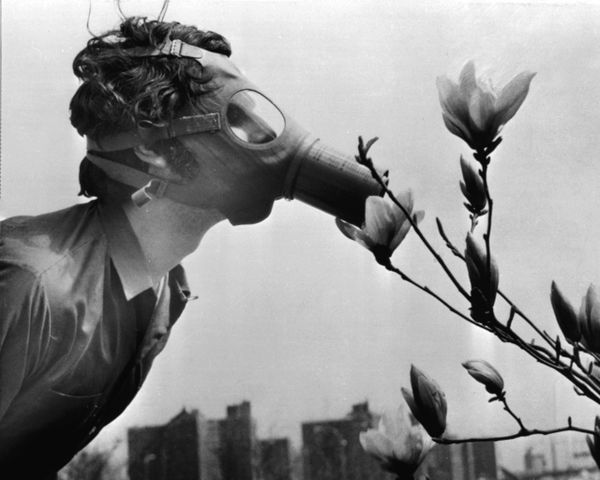 A Pace College student in a gas mask smells a magnolia blossom in City Hall Park on Earth Day, April 22, 1970, in New York. A Pace College student in a gas mask smells a magnolia blossom in City Hall Park on Earth Day, April 22, 1970, in New York. - Sputnik International