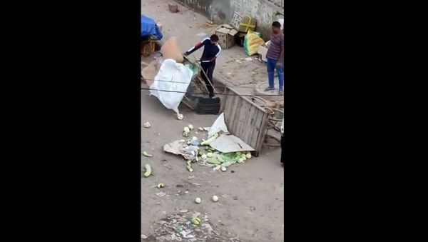If we allow such ppl to stop essential services such as food or indulge in goondaism/vigilantism... - Sputnik International