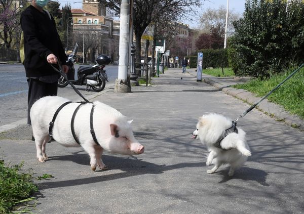 This Week in Pictures: 21-27 March This Week in Pictures: 21-27 March - Sputnik International