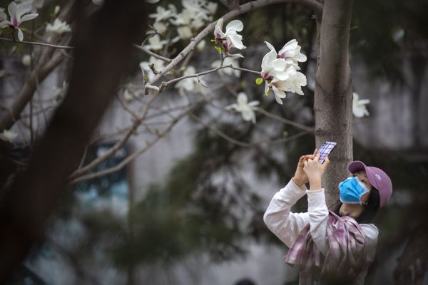 This Week in Pictures: 21-27 March This Week in Pictures: 21-27 March - Sputnik International