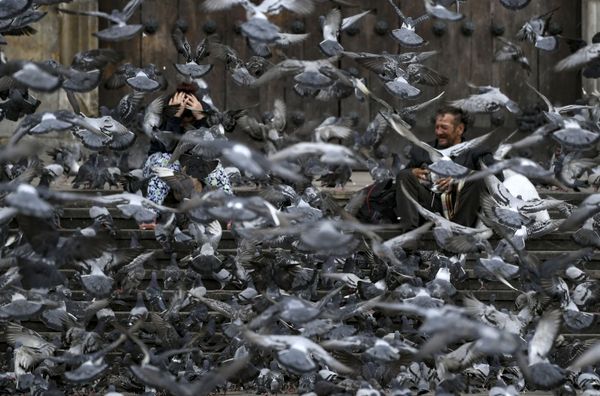 This Week in Pictures: 21-27 March This Week in Pictures: 21-27 March - Sputnik International
