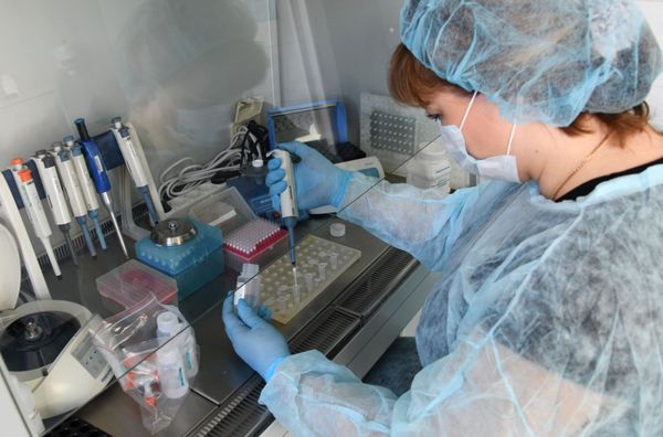 Moscow Refutes UK Claims That Russia-Linked Hackers Tried to Steal Data on COVID-19 Vaccine - Sputnik International