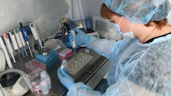 State Research Center of Virology and Biotechnology (VECTOR) in Koltsovo State Research Center of Virology and Biotechnology (VECTOR) in Koltsovo - Sputnik International