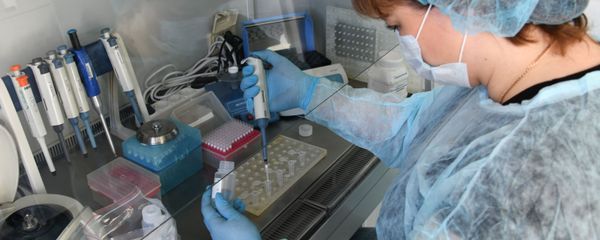 State Research Center of Virology and Biotechnology (VECTOR) in Koltsovo - Sputnik International