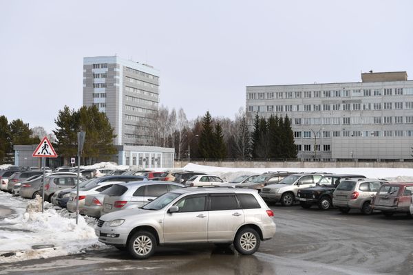 Russia's Consumer Protection Watchdog: New Test to Uncover COVID-19 Immunity to Come Out Next Week Russia's Consumer Protection Watchdog: New Test to Uncover COVID-19 Immunity to Come Out Next Week - Sputnik International