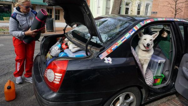 Dog Greta - Sputnik International