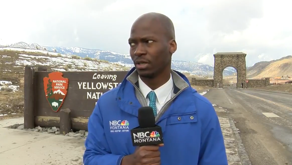 Reporter Sees a Herd of Bison - Sputnik International
