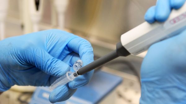 Russian Scientists Successfully Sequence Full Genome of Coronavirus - Sputnik International