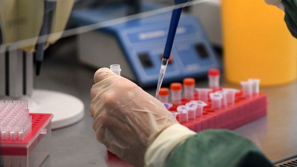 Scientist in Laboratory Conducts COVID-19 Test - Sputnik International