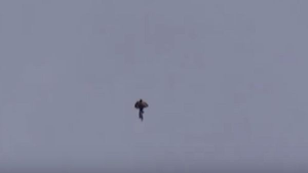 Human-like UFO Spotted in the Skies of Phoenix, Arizona - Sputnik International
