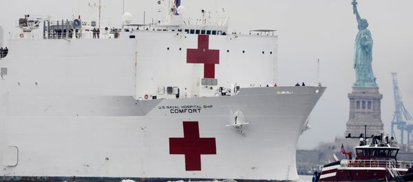 The USNS Comfort passes the Statue of Liberty as it enters New York Harbor during the outbreak of the coronavirus disease (COVID-19) in New York City, U.S., March 30, 2020 The USNS Comfort passes the Statue of Liberty as it enters New York Harbor during the outbreak of the coronavirus disease (COVID-19) in New York City, U.S., March 30, 2020 - Sputnik International