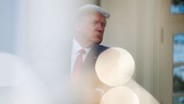 U.S. President Donald Trump speaks during the daily coronavirus response briefing in the Rose Garden at the White House in Washington, U.S., March 30, 2020 - Sputnik International