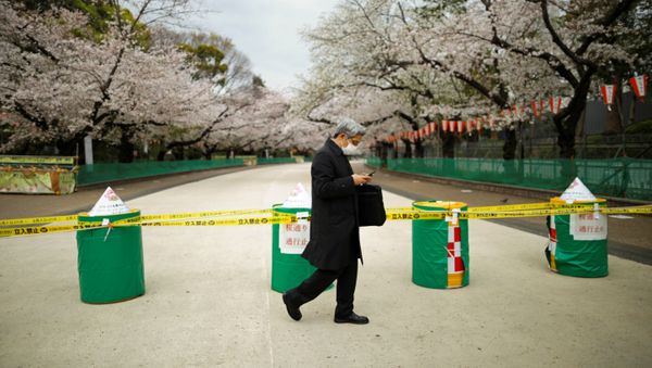 A man wearing a protective face mask, following an outbreak of the coronavirus disease (COVID-19), walks past a closed cherry blossom viewing spot during the first weekend after Tokyo Governor Yuriko Koike (not pictured) urged Tokyo residents to stay indoors in a bid to keep the coronavirus disease from spreading, at Ueno park in Tokyo, Japan March 28, 2020 - Sputnik International
