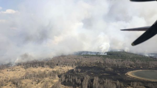 In this photo made on Saturday, April 4, 2020, an aerial view of a forest fire burning near the village of Volodymyrivka in the exclusion zone around the Chernobyl nuclear power plant, Ukraine In this photo made on Saturday, April 4, 2020, an aerial view of a forest fire burning near the village of Volodymyrivka in the exclusion zone around the Chernobyl nuclear power plant, Ukraine - Sputnik International
