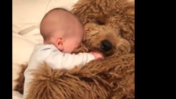 Baby and dog - Sputnik International
