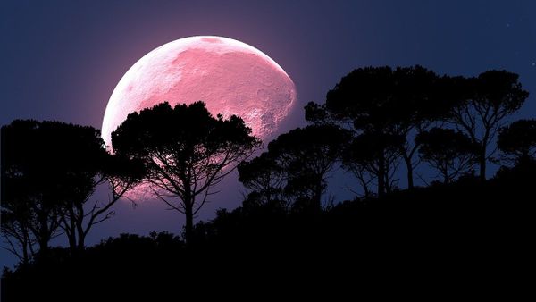 Pink moon  - Sputnik International
