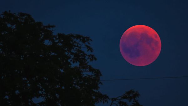 Pink moon - Sputnik International