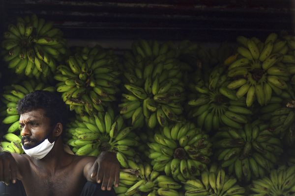 A labourer wearing a facemask rests at a vegetable market during a nationwide curfew imposed as a preventive measure against the spread of the COVID-19 novel coronavirus in Colombo on April 4, 2020.  - Sputnik International