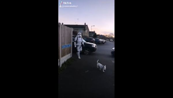 Dog Walked by Stormtrooper in UK  - Sputnik International
