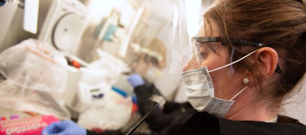 Kylene Karnuth, a clinical lab scientist, works with coronavirus samples as researchers begin a trial to see whether malaria treatment hydroxychloroquine can prevent or reduce the severity of the coronavirus disease (COVID-19), at the University of Minnesota in Minneapolis, Minnesota, U.S. March 19, 2020. - Sputnik International
