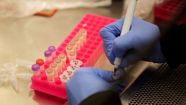 Researchers at the Microbiology Research Facility work with coronavirus samples as a trial begins to see whether malaria treatment hydroxychloroquine can prevent or reduce the severity of the coronavirus disease (COVID-19), at the University of Minnesota in Minneapolis, Minnesota, U.S. March 19, 2020 Researchers at the Microbiology Research Facility work with coronavirus samples as a trial begins to see whether malaria treatment hydroxychloroquine can prevent or reduce the severity of the coronavirus disease (COVID-19), at the University of Minnesota in Minneapolis, Minnesota, U.S. March 19, 2020 - Sputnik International