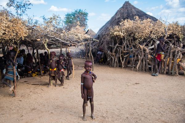 Rituals and Daily Life of the Hamer Tribe Rituals and Daily Life of the Hamer Tribe - Sputnik International