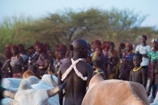 Rituals and Daily Life of the Hamer Tribe Rituals and Daily Life of the Hamer Tribe - Sputnik International
