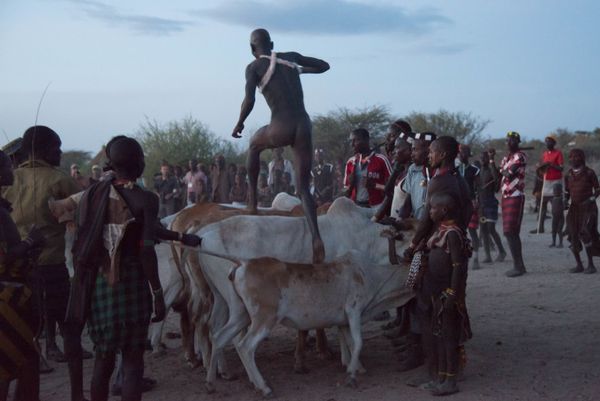 Rituals and Daily Life of the Hamer Tribe Rituals and Daily Life of the Hamer Tribe - Sputnik International