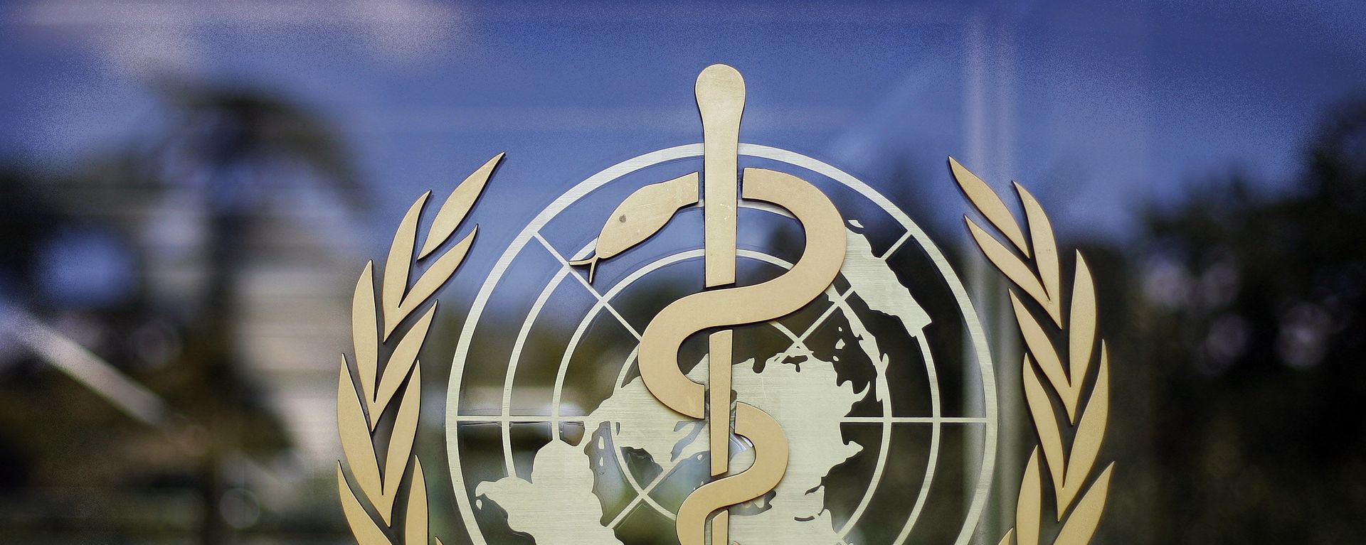 World Health Organization logo on its headquarters in Geneva - Sputnik International, 1920, 24.12.2024
