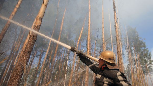 Chernobyl fire - Sputnik International
