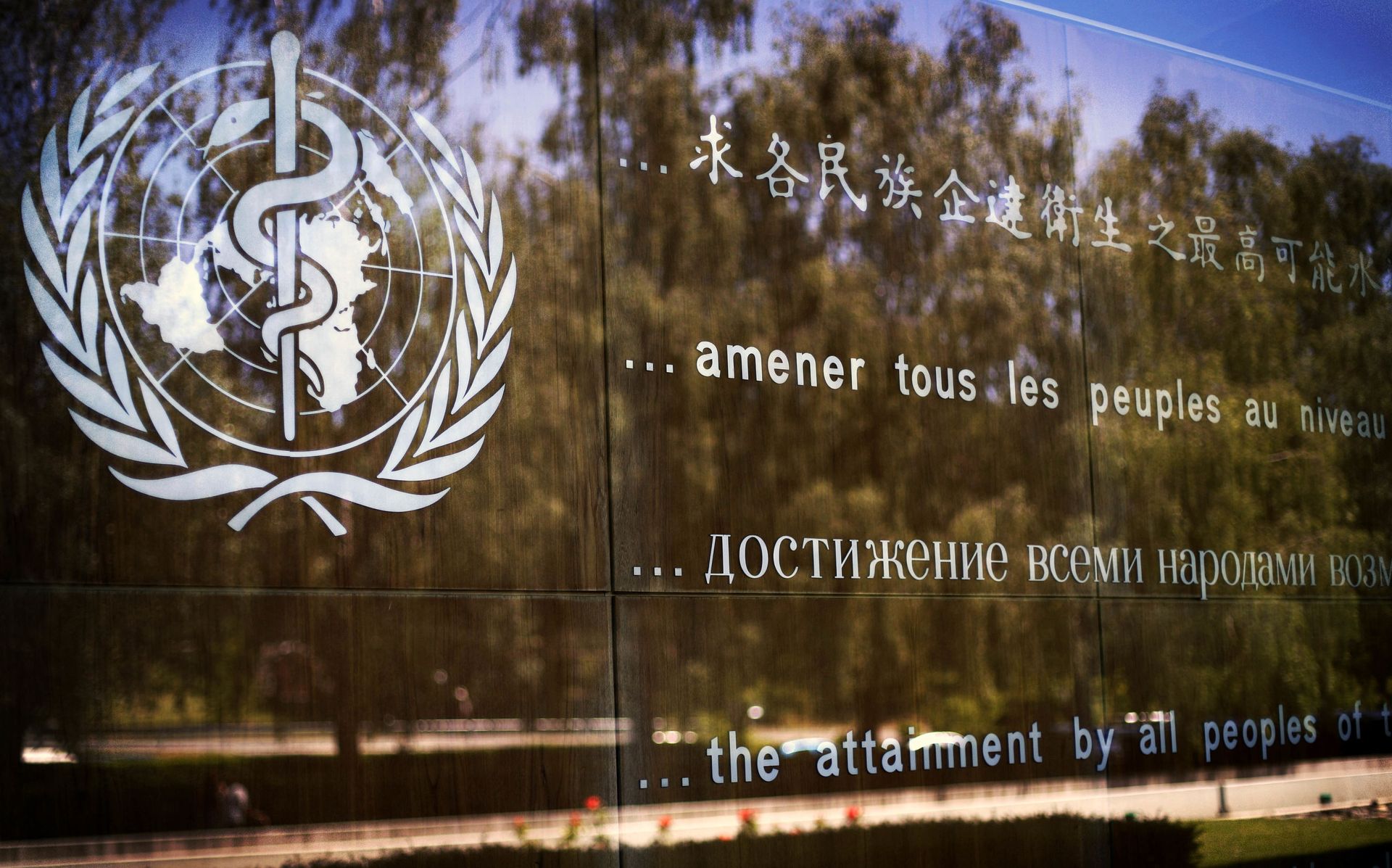 The logo of the World Health Organization is seen at the WHO headquarters in Geneva, Switzerland, Thursday, June 11, 2009 The logo of the World Health Organization is seen at the WHO headquarters in Geneva, Switzerland, Thursday, June 11, 2009 - Sputnik International, 1920, 07.09.2021