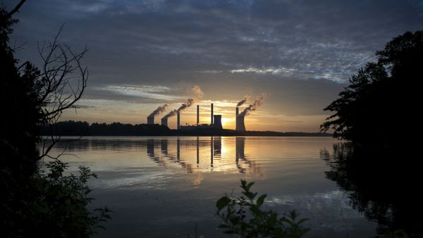 The coal-fired Plant Scherer, one of the nation's top carbon dioxide emitters, stands in the distance in Juliette, Ga., Saturday, June, 3, 2017 - Sputnik International