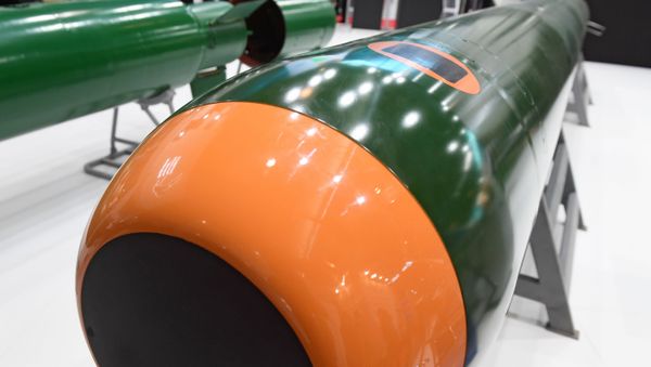 Russian universal deep-sea homing torpedo UGST - Sputnik International