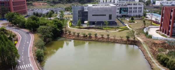 An aerial view shows the P4 laboratory (C) at the Wuhan Institute of Virology in Wuhan in China's central Hubei province on 17 April 2020. - The P4 epidemiological laboratory was built in co-operation with French bio-industrial firm Institut Merieux and the Chinese Academy of Sciences. The facility is among a handful of labs around the world cleared to handle Class 4 pathogens (P4) - dangerous viruses that pose a high risk of person-to-person transmission - Sputnik International
