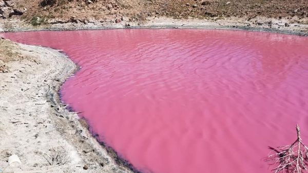 Lake in Chichimequillas - Sputnik International