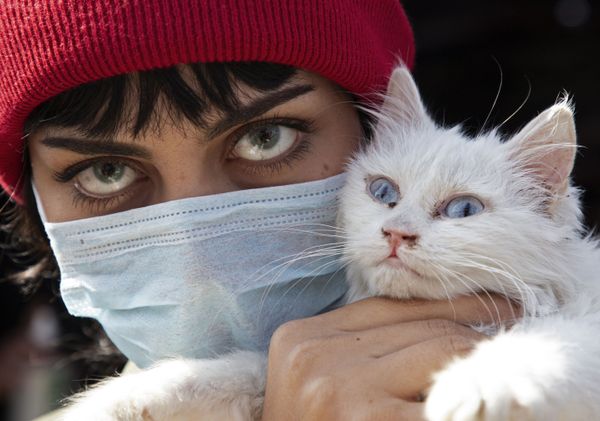 An Iraqi woman wearing a protective mask and coloured contact lenses holds her cat as she poses for a picture during a protest against corruption in the Iraqi government in the southern city of Basra in February 2020 An Iraqi woman wearing a protective mask and coloured contact lenses holds her cat as she poses for a picture during a protest against corruption in the Iraqi government in the southern city of Basra in February 2020 - Sputnik International
