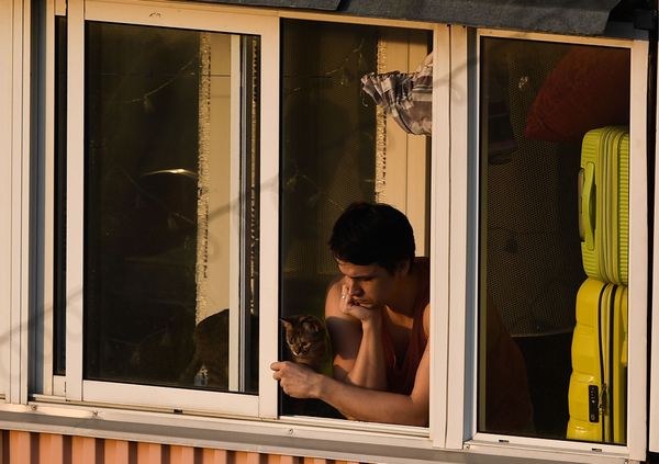 A guy with his cat on a balcony in Moscow A guy with his cat on a balcony in Moscow - Sputnik International