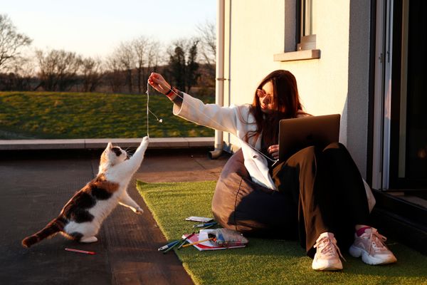 Lea, 19, plays with her cat as she studies in her house, during the lockdown imposed by the Belgian government to slow down the spreading of the coronavirus disease (COVID-19) , in Moorsel, Belgium, 31 March 2020 Lea, 19, plays with her cat as she studies in her house, during the lockdown imposed by the Belgian government to slow down the spreading of the coronavirus disease (COVID-19) , in Moorsel, Belgium, 31 March 2020 - Sputnik International