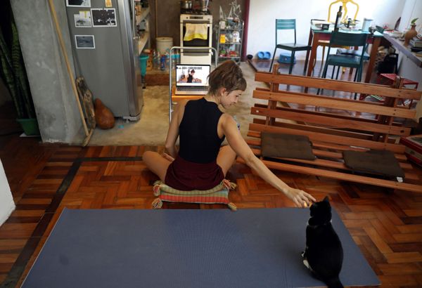 Yoga instructor Chris Igreja, 29, pets her cat during an online yoga class she gives from home as a protective measure to prevent the spread of the novel coronavirus disease (COVID-19) outbreak, in Rio de Janeiro, Brazil, 19 March 2020 Yoga instructor Chris Igreja, 29, pets her cat during an online yoga class she gives from home as a protective measure to prevent the spread of the novel coronavirus disease (COVID-19) outbreak, in Rio de Janeiro, Brazil, 19 March 2020 - Sputnik International