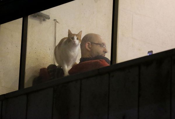 A man sits on his home as his cat looks through a balcony window, after the government ordered quarantine and nighttime curfew aimed at curbing the spread of the new coronavirus, in Beirut, Lebanon, Tuesday, 31 2020 A man sits on his home as his cat looks through a balcony window, after the government ordered quarantine and nighttime curfew aimed at curbing the spread of the new coronavirus, in Beirut, Lebanon, Tuesday, 31 2020 - Sputnik International