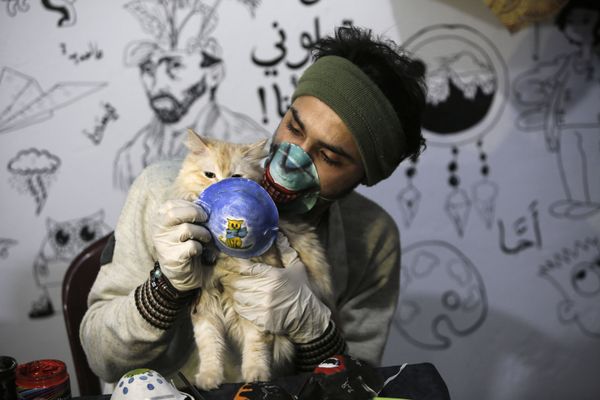 Palestinian artist Dorgham Krakeh holds before a cat a painted N95 protective mask, for a project raising awareness about the COVID-19 coronavirus pandemic, in Gaza City on 24 March 2020 Palestinian artist Dorgham Krakeh holds before a cat a painted N95 protective mask, for a project raising awareness about the COVID-19 coronavirus pandemic, in Gaza City on 24 March 2020 - Sputnik International