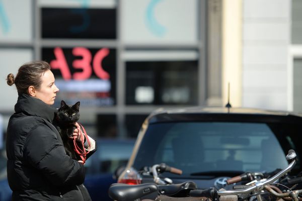 A woman takes her cat out during the coronavirus lockdown imposed by the Belgian government in an attempt to slow down the rate of the coronavirus disease (COVID-19), in the Brussels municipality of Ixelles, Belgium 28 March 2020. A woman takes her cat out during the coronavirus lockdown imposed by the Belgian government in an attempt to slow down the rate of the coronavirus disease (COVID-19), in the Brussels municipality of Ixelles, Belgium 28 March 2020. - Sputnik International