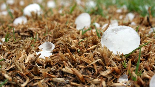 Hail stones - Sputnik International