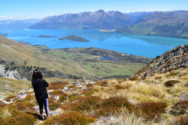 New Zealand Becomes a Dream Escape Destination Amid Pandemic as Demand For Bunkers Increases New Zealand Becomes a Dream Escape Destination Amid Pandemic as Demand For Bunkers Increases - Sputnik International