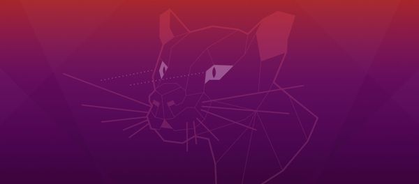 Ubuntu 20.04 Focal Fossa - Sputnik International