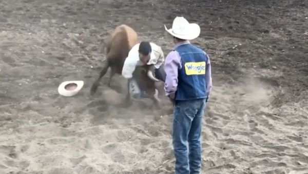 Screenshot of the video of Luke Rockhold fighting a bull in a rodeo, 22 April 2020 - Sputnik International