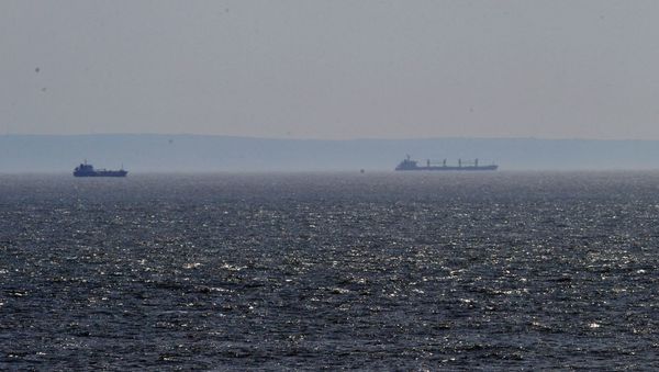 A number of large ships are sitting off shore in the Bristol channel  - Sputnik International