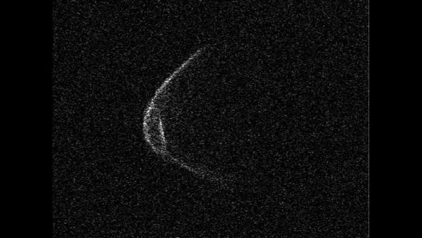 OR2  asteroid - Sputnik International