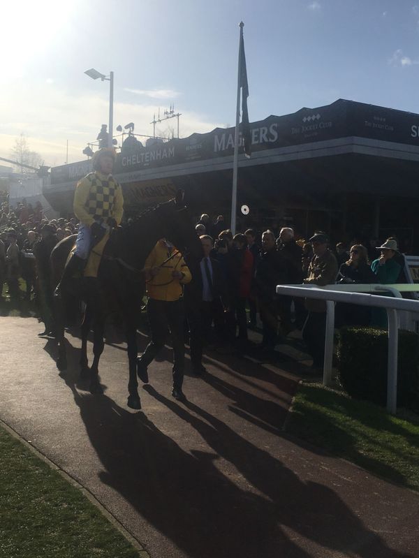 Don’t Let the Cheltenham Racing Festival be the ‘Fall Guy’ for the UK's COVID-19 Failings - Sputnik International